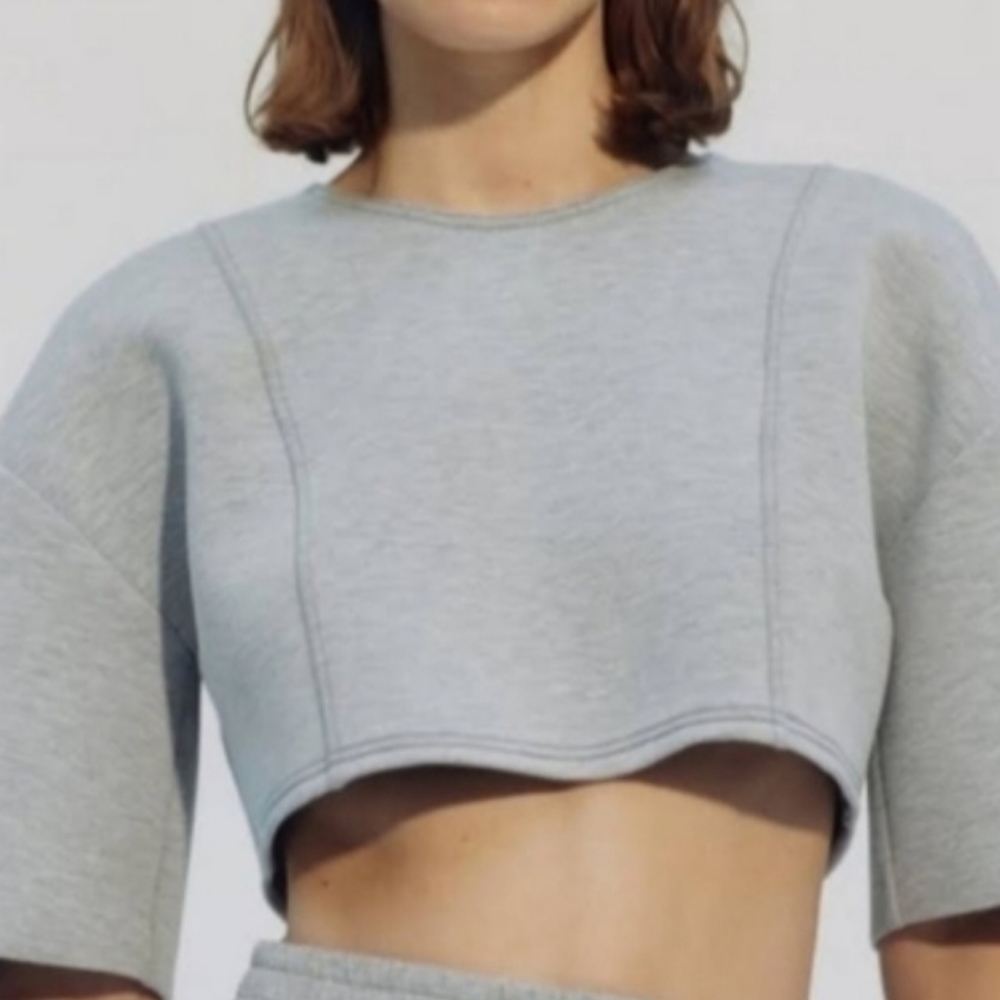 Zara Light Gray Wide Sleeve Crop Top